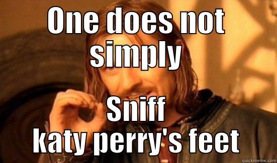 ONE DOES NOT SIMPLY SNIFF KATY PERRY'S FEET Boromir