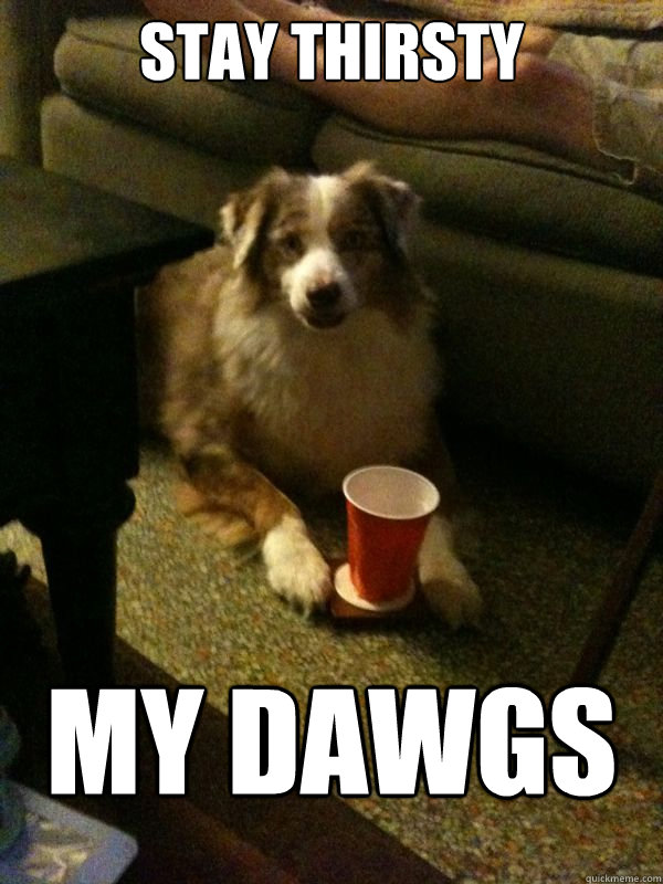 Stay thirsty my dawgs  Drink Dog