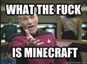 What the fuck Is Minecraft  Annoyed Picard