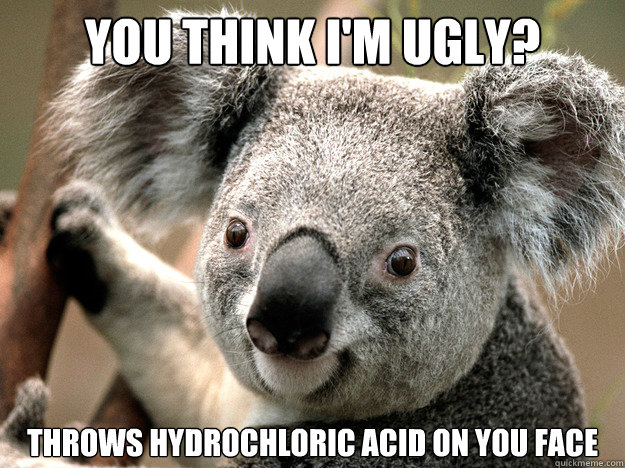 you think i'm ugly? throws hydrochloric acid on you face - you think i'm ugly? throws hydrochloric acid on you face  Evil Koala Bear