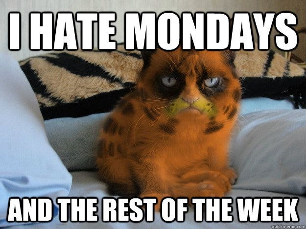 I hate mondays and the rest of the week  Grumpy Cat