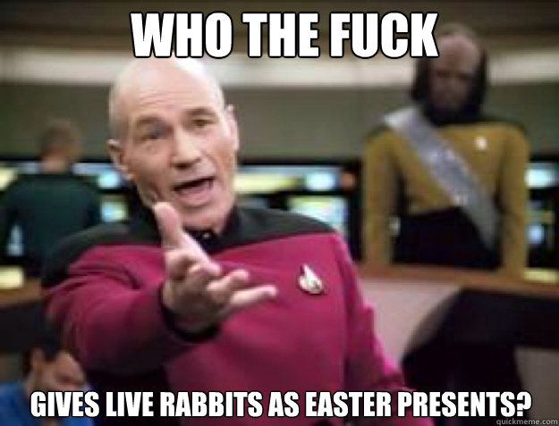 WHO THE FUCK GIVES LIVE RABBITS AS EASTER PRESENTS?  