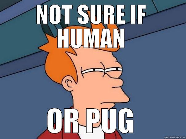 NOT SURE IF HUMAN OR PUG Futurama Fry