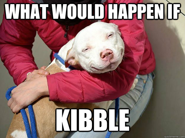 what would happen if kibble  10 Dog