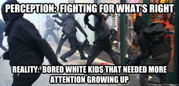 Perception:  Fighting for what's right Reality:  Bored white kids that Needed more attention growing up  