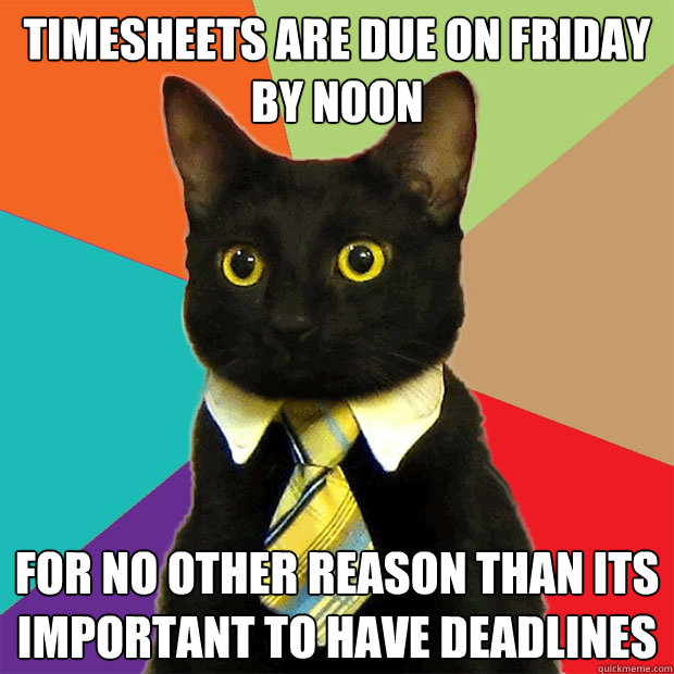 Timesheets Are due on Friday by noon for no other reason than its important to have deadlines - Timesheets Are due on Friday by noon for no other reason than its important to have deadlines  Business Cat
