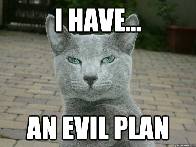 I Have... An Evil Plan  Evil Plan Cat