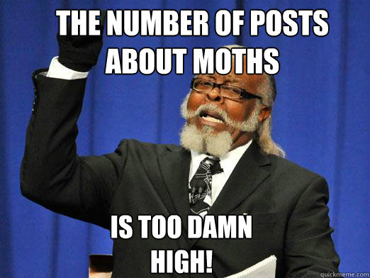 The number of posts about moths is too damn high!  the rent is to dam high