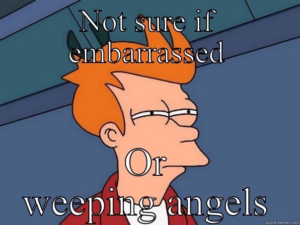 NOT SURE IF EMBARRASSED OR WEEPING ANGELS Futurama Fry