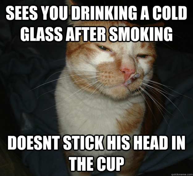 sees you drinking a cold glass after smoking doesnt stick his head in the cup  Cool Cat Craig