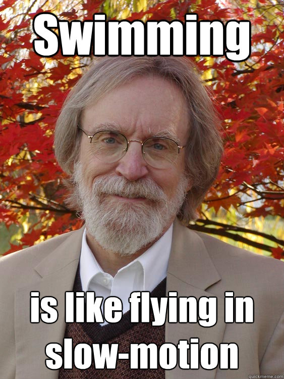 Swimming is like flying in slow-motion  