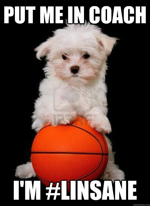 put me in coach i'm #LINSANE  - put me in coach i'm #LINSANE   linsanedog