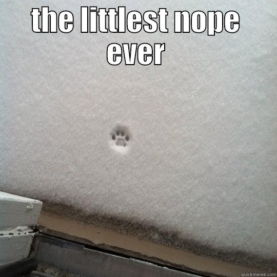 THE LITTLEST NOPE EVER  Misc