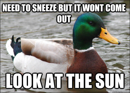 Need to sneeze but it wont come out Look at the sun  Actual Advice Mallard