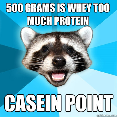 500 grams is whey too much protein Casein point  Lame Pun Coon