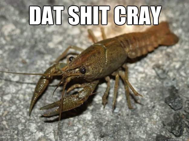 dat shit cray  - dat shit cray   Misc