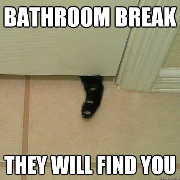 Bathroom Break They will find you - Bathroom Break They will find you  CatBathroom