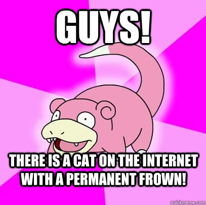 Guys!  There is a cat on the internet with a permanent frown!  Slowpoke