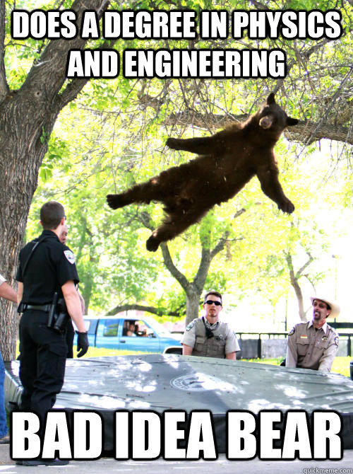 Does a degree in physics and engineering bad idea bear  silly bear