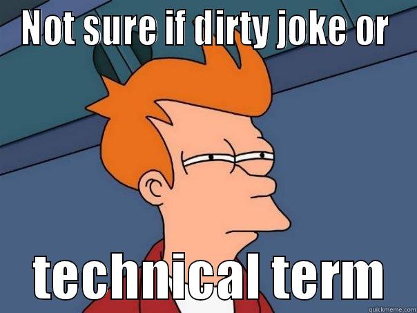 Google Fiber - NOT SURE IF DIRTY JOKE OR     TECHNICAL TERM   Futurama Fry