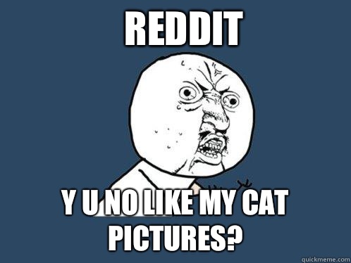 Reddit y u no like my cat pictures?  Y U No