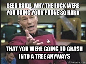 Bees aside, why the fuck were you using your phone so hard that that you were going to crash into a tree anyways  Annoyed Picard