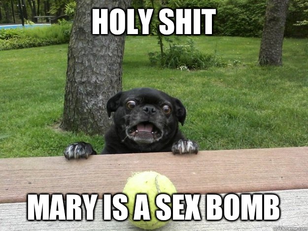 Holy shit Mary is a sex bomb - Holy shit Mary is a sex bomb  Berks Dog