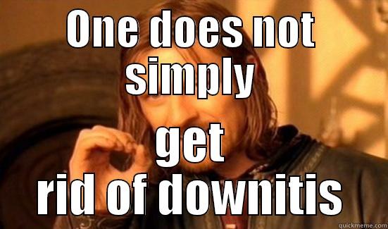 ONE DOES NOT SIMPLY GET RID OF DOWNITIS Boromir