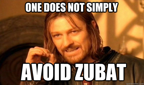 One does not simply avoid zubat  Boromir
