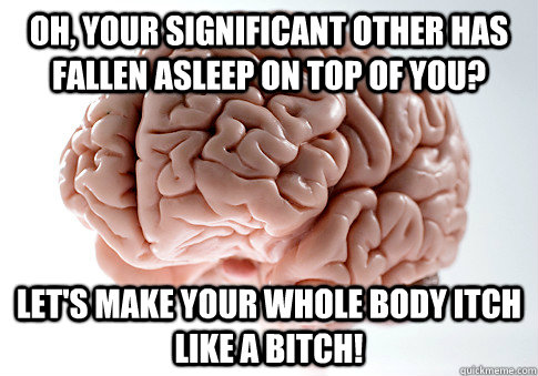 Oh, your significant other has fallen asleep on top of you? Let's make your whole body itch like a BITCH! OH GOD  Scumbag Brain