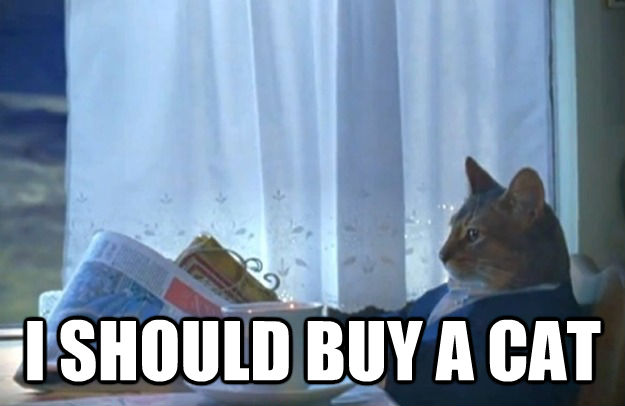  I SHOULD BUY A CAT  Sophisticated Cat