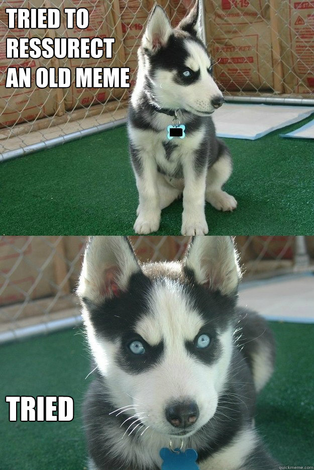 Tried to
Ressurect 
An old meme Tried  Insanity puppy