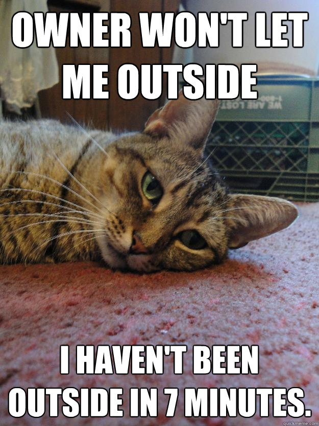 owner won't let me outside i haven't been outside in 7 minutes. - owner won't let me outside i haven't been outside in 7 minutes.  Life Is Ruined Cat
