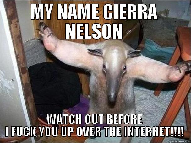 MY NAME CIERRA NELSON WATCH OUT BEFORE I FUCK YOU UP OVER THE INTERNET!!!! I got this