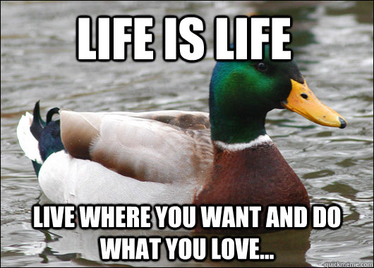 Life is life Live where you want and do what you love...  Actual Advice Mallard