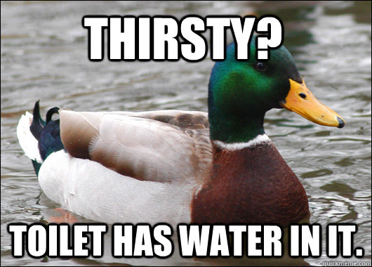 Thirsty? Toilet has water in it.  Actual Advice Mallard