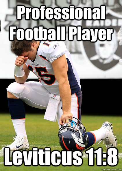 Professional Football Player Leviticus 11:8 - Professional Football Player Leviticus 11:8  Thaumaturgic Tebow