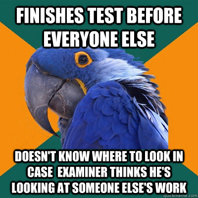 Finishes test before everyone else Doesn't know where to look in case  examiner thinks he's looking at someone else's work  Paranoid Parrot