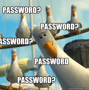 Password? Password? Password? Password? Password?  seagulls