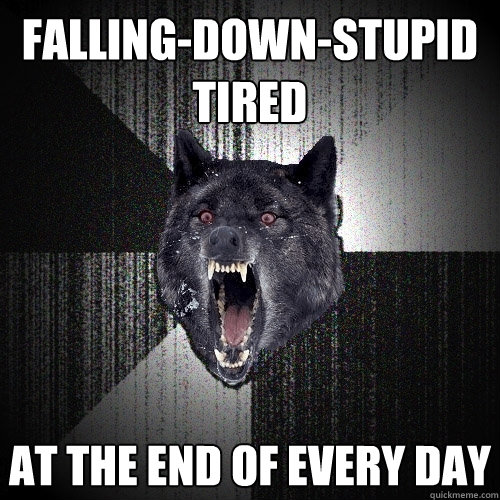 falling-down-stupid tired at the end of every day  Insanity Wolf