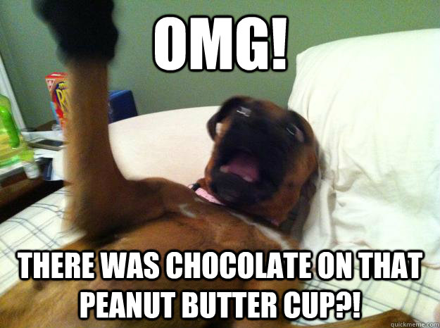 omg! there was chocolate on that peanut butter cup?!  salvia meme