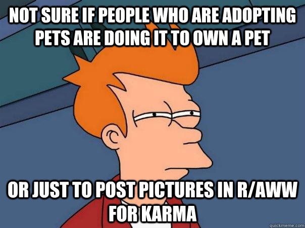 Not sure if people who are adopting pets are doing it to own a pet Or just to post pictures in r/aww for karma  Futurama Fry