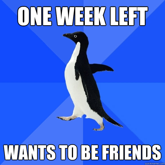 One Week Left Wants to be friends  Socially Awkward Penguin