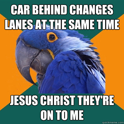 CAR BEHIND CHANGES LANES AT THE SAME TIME JESUS CHRIST THEY'RE ON TO ME  Paranoid Parrot