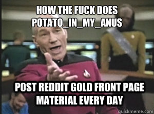 how the fuck does potato_in_my_anus post reddit gold front page material every day  Annoyed Picard