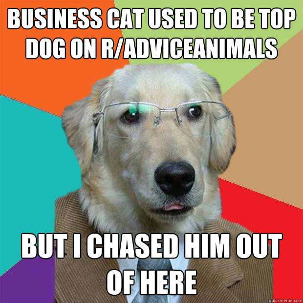 Business cat used to be top dog on r/adviceanimals but I chased him out of here  Business Dog