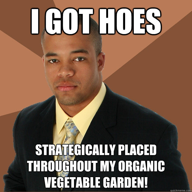 i got hoes strategically placed throughout my organic vegetable garden!  Successful Black Man