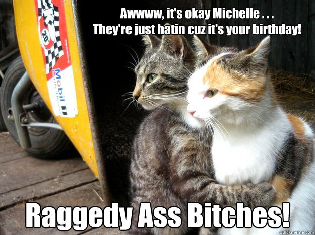 Awwww, it's okay Michelle . . . 
They're just hatin cuz it's your birthday! Raggedy Ass Bitches!  Restraining Cat