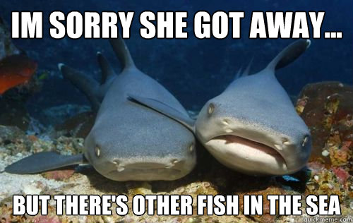 Im sorry she got away... But there's other fish in the sea  Compassionate Shark Friend