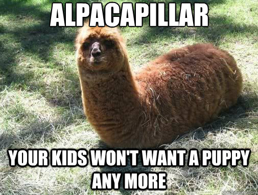alpacapillar Your kids won't want a puppy any more  Alpacapillar